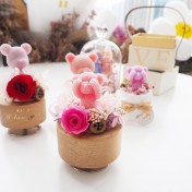 香薰熊永生花音樂盒工作坊