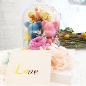 情侶/結婚熊仔永生花玻璃罩工作坊