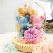 情侶/結婚熊仔永生花玻璃罩工作坊