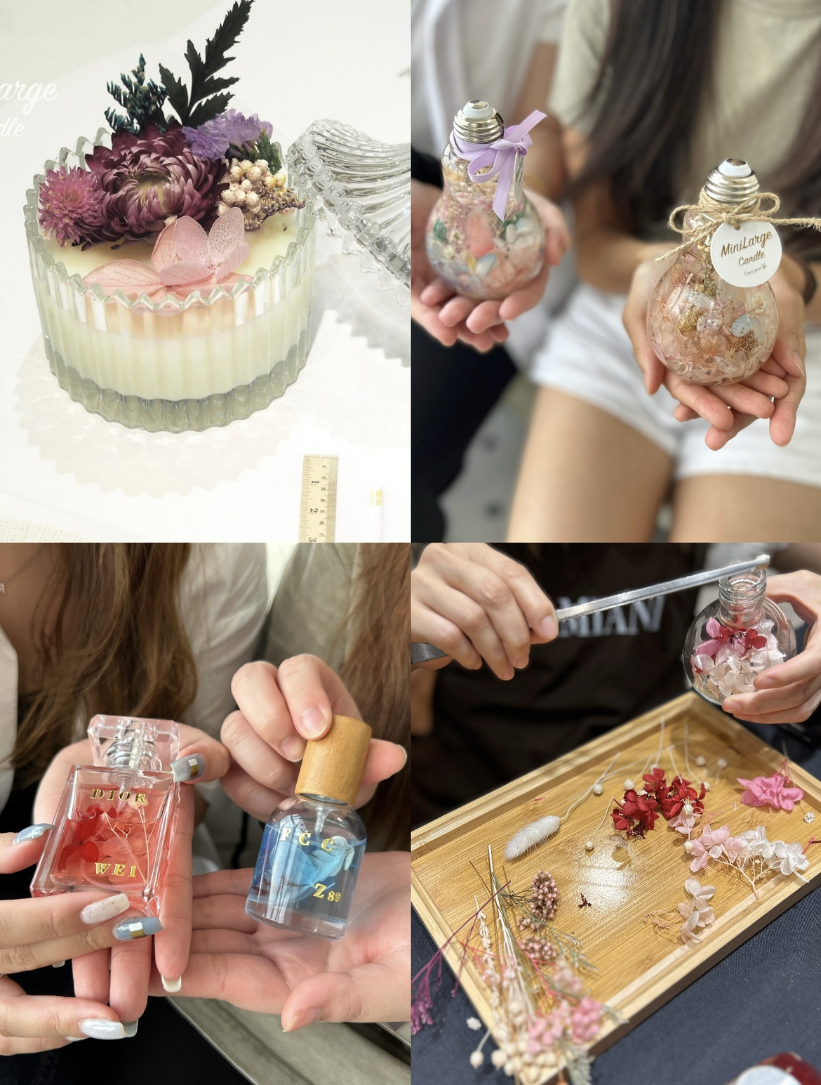 什麼是永生花？以及我們應如何保養？